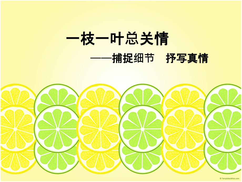 捕捉细节-抒写真情.ppt_第2页
