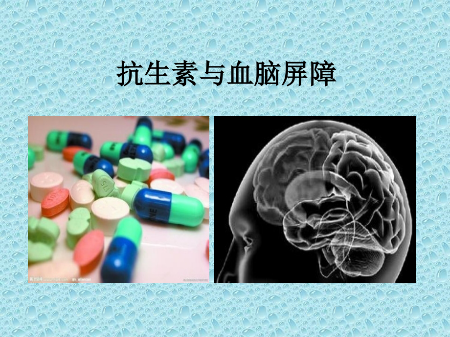 抗生素和血脑屏障.pptx_第1页