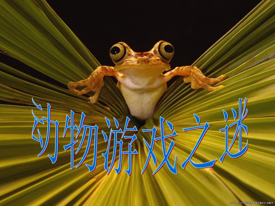 实用《动物游戏之谜》.ppt_第1页