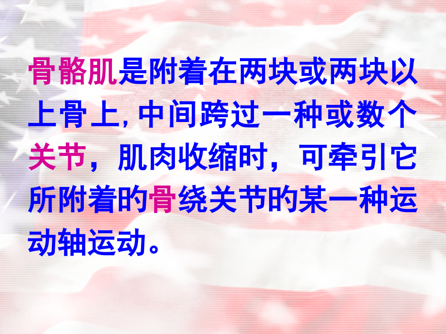 体育动作的解剖学析.ppt_第2页