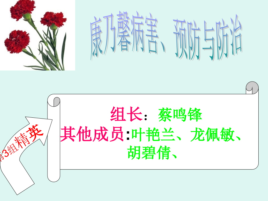 植物保护的有关病例、防治方法、图片(高等农学、生物系专业).ppt_第1页