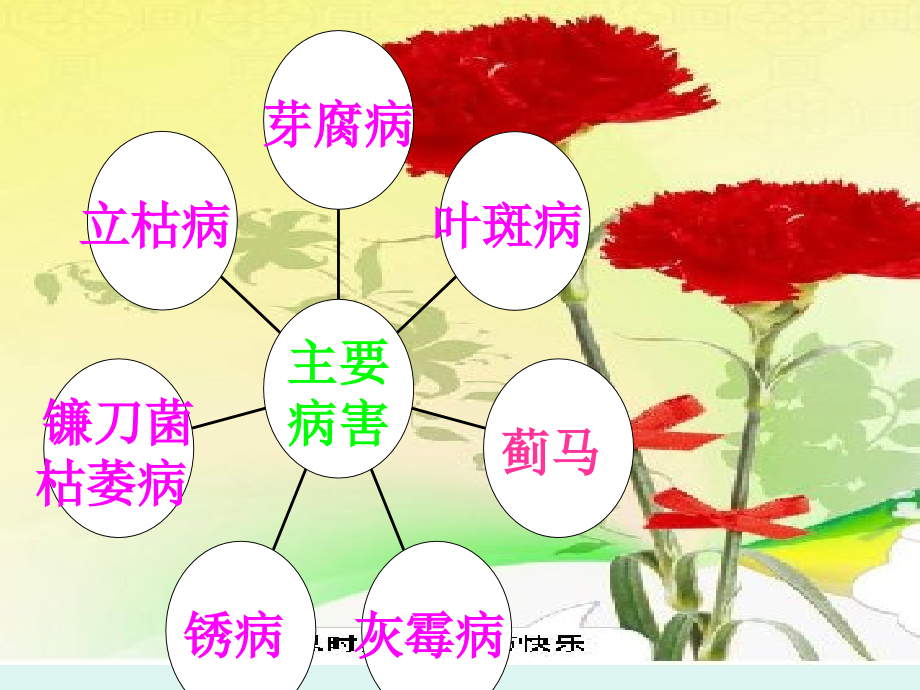 植物保护的有关病例、防治方法、图片(高等农学、生物系专业).ppt_第2页