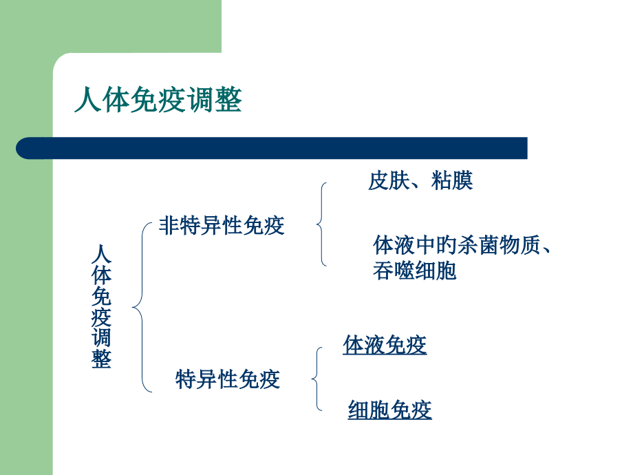 免疫调节剂专题知识讲座.ppt_第2页