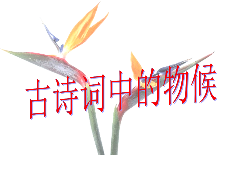 古代诗词中的物候.pptx_第1页