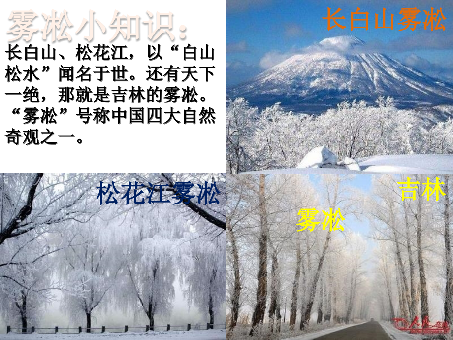 苏教版四年级上第23课雾凇_PPT.pptx_第2页