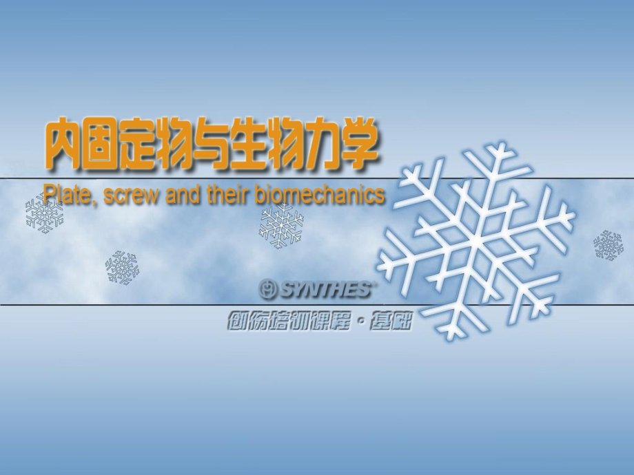 内固定物和生物力学.pptx_第1页