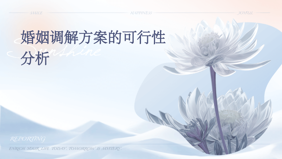 婚姻调解方案的可行性分析.pptx_第1页