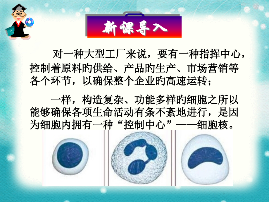 人教版高中生物必修一细胞核.pptx_第1页