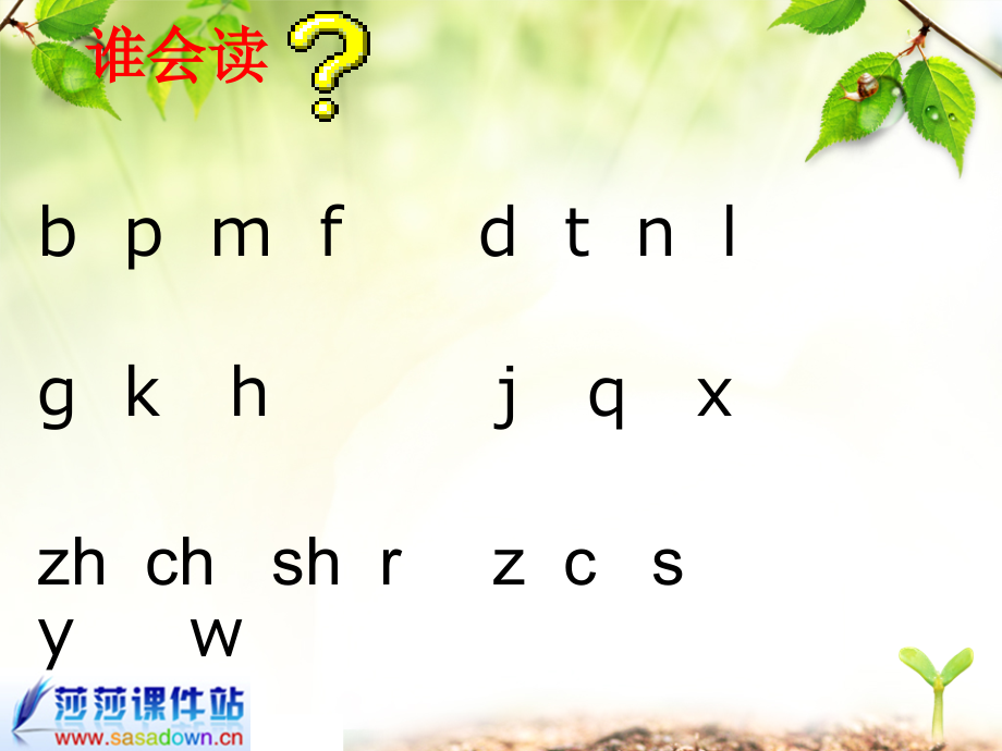 拼音复习二修改.ppt_第2页