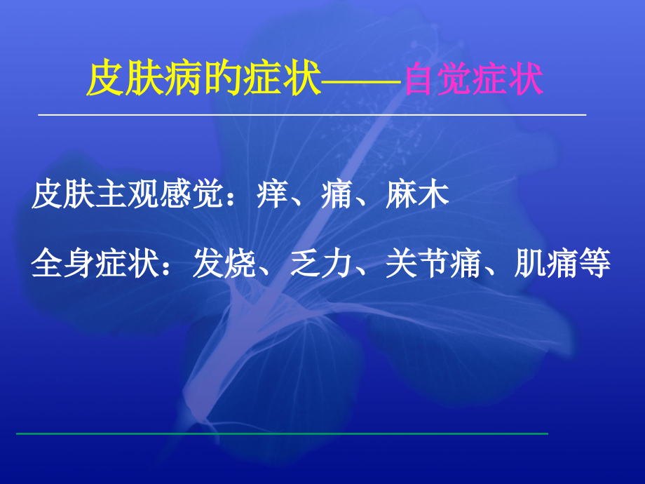 皮肤病的临床表现和诊疗.ppt_第2页