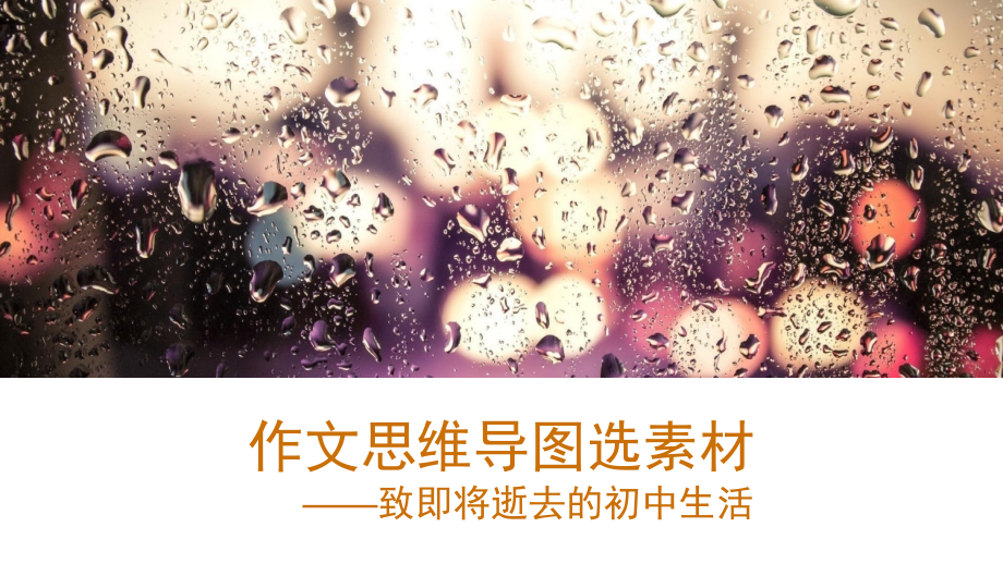 思维导图选素材.pptx_第2页