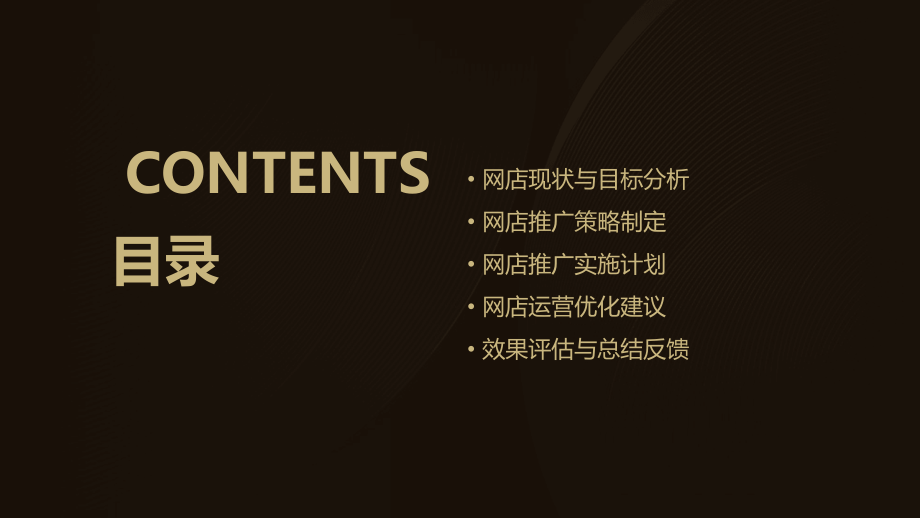 网店推广计划书.pptx_第2页