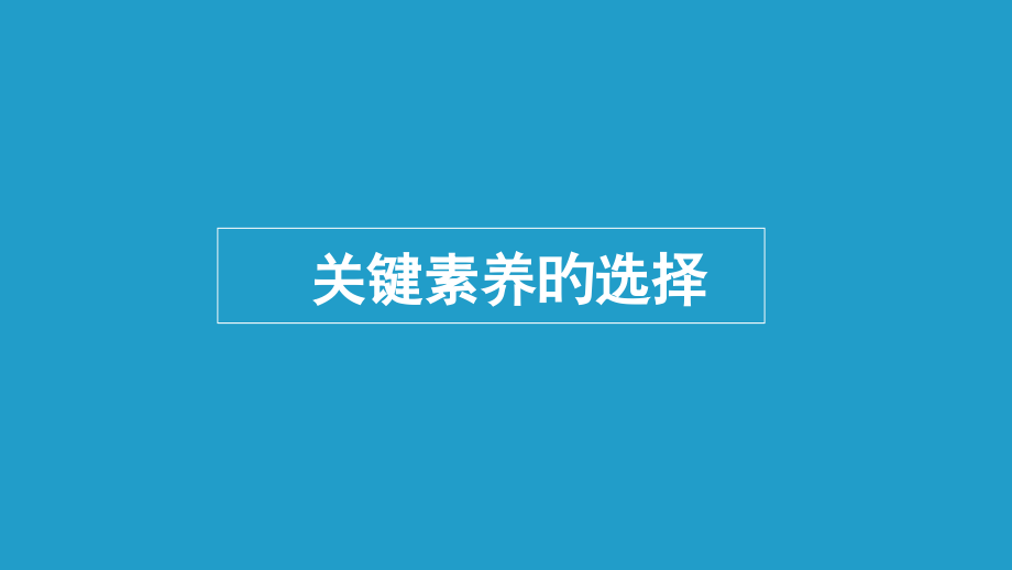 地理学科素养.pptx_第2页