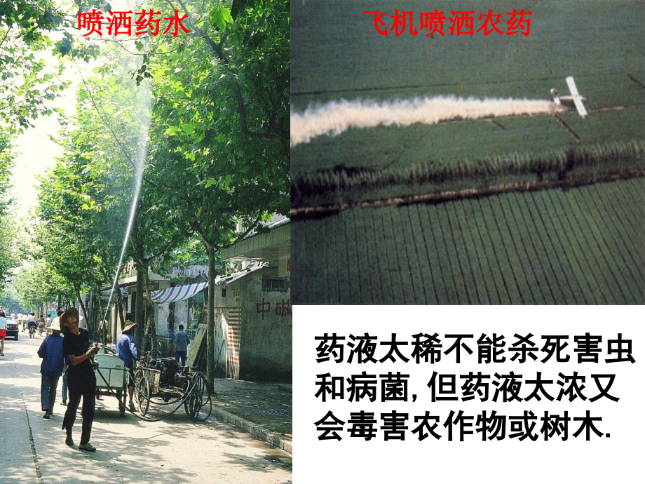 九年级化学《溶质的质量分数》课件1人教新课标版.ppt_第2页