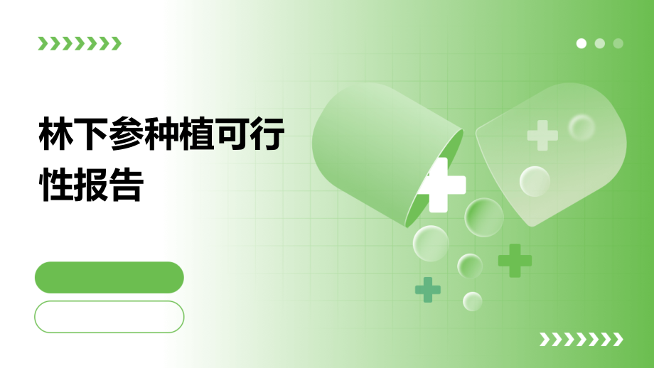 林下参种植可行性报告.pptx_第1页