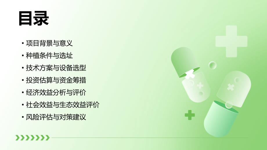 林下参种植可行性报告.pptx_第2页