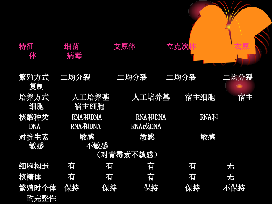 支原体立克次氏体衣原体.ppt_第2页