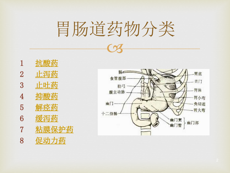 胃肠道用药课件.pptx_第2页