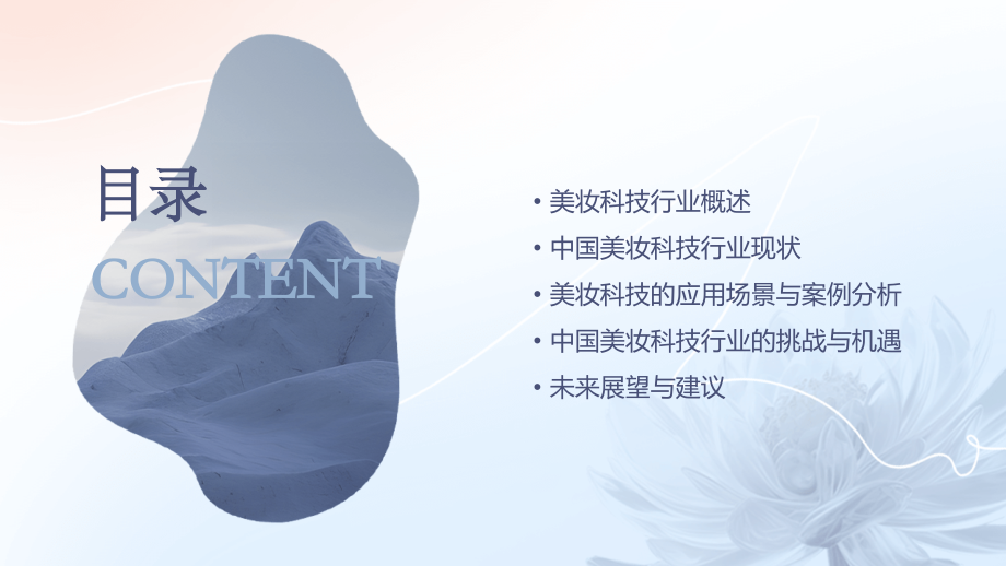 中国首个美妆科技行业报告.pptx_第2页