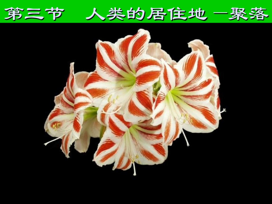 人类的聚居地_聚落(7年级地理上).ppt_第1页