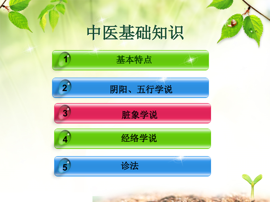 中医基础知识专业版.pptx_第2页