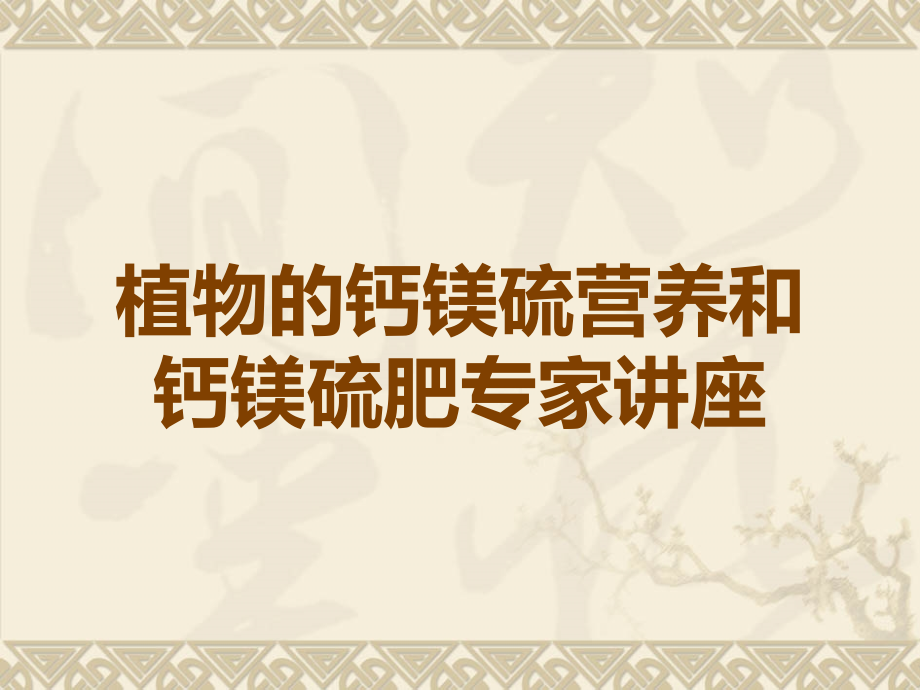 植物的钙镁硫营养和钙镁硫肥专家讲座.ppt_第1页