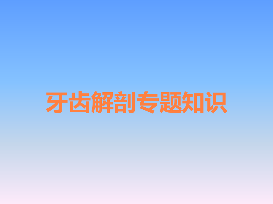 牙齿解剖专题知识.ppt_第1页