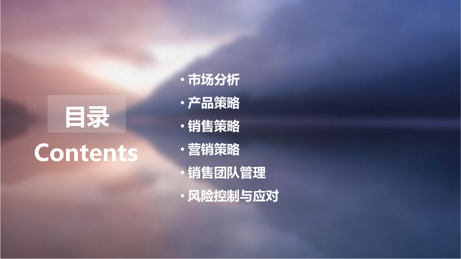 销售内销计划书.pptx_第2页