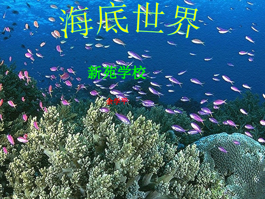 海底世界课件1.ppt_第1页