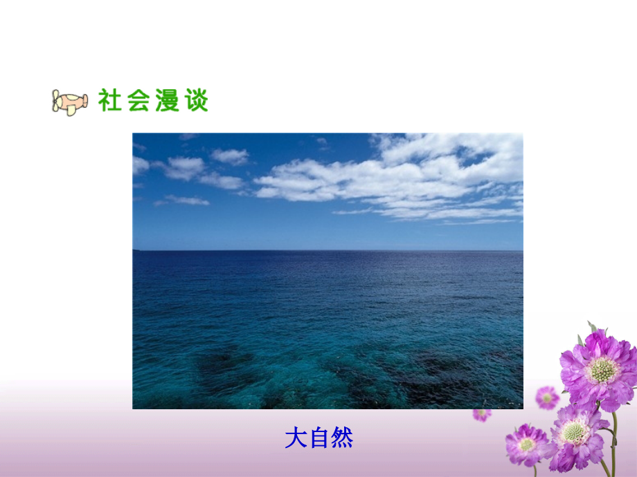 《我们能为地球做什么》教学课件.ppt_第2页