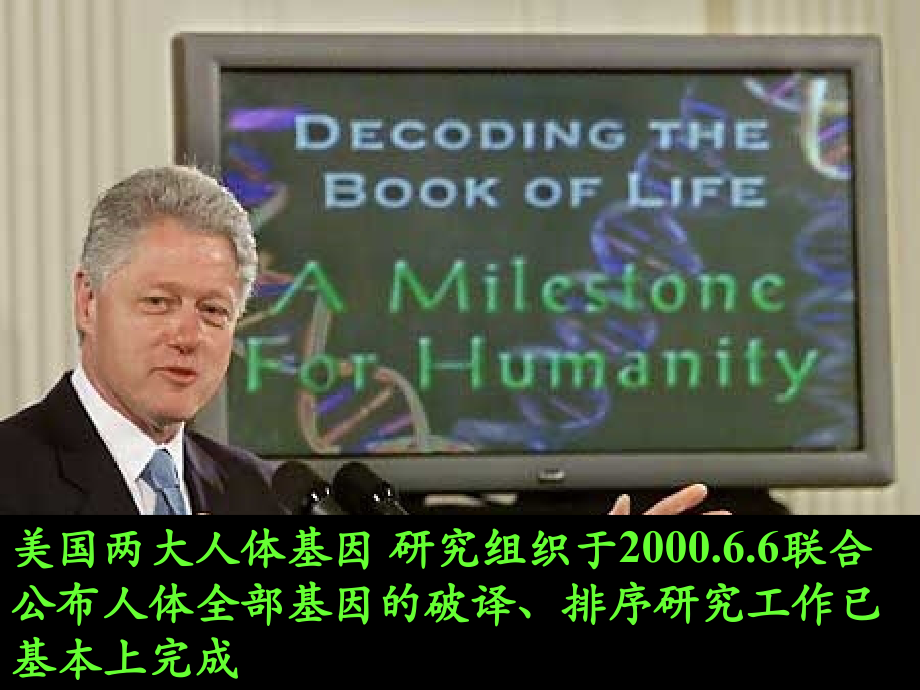 《基因在亲子代间的传递》参考课件2.ppt_第2页