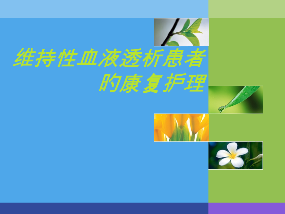 维持性血液透析患者的康复护理.pptx_第1页