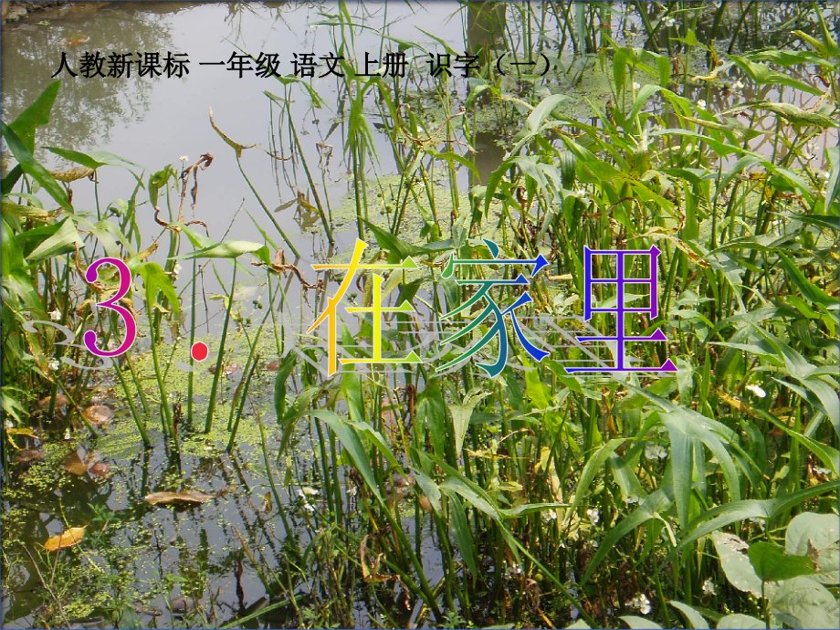 《在家里》教学课件1.ppt_第1页