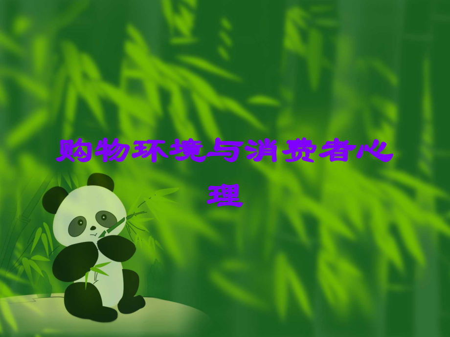 购物环境与消费者心理.ppt_第1页
