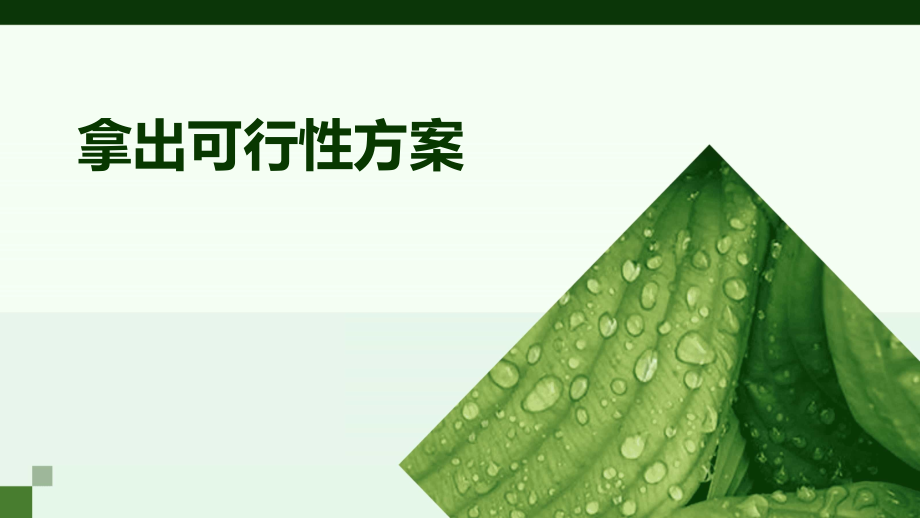 拿出可行性方案.pptx_第1页