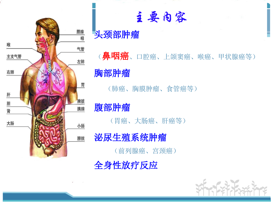 鼻咽癌专题知识讲座.ppt_第1页