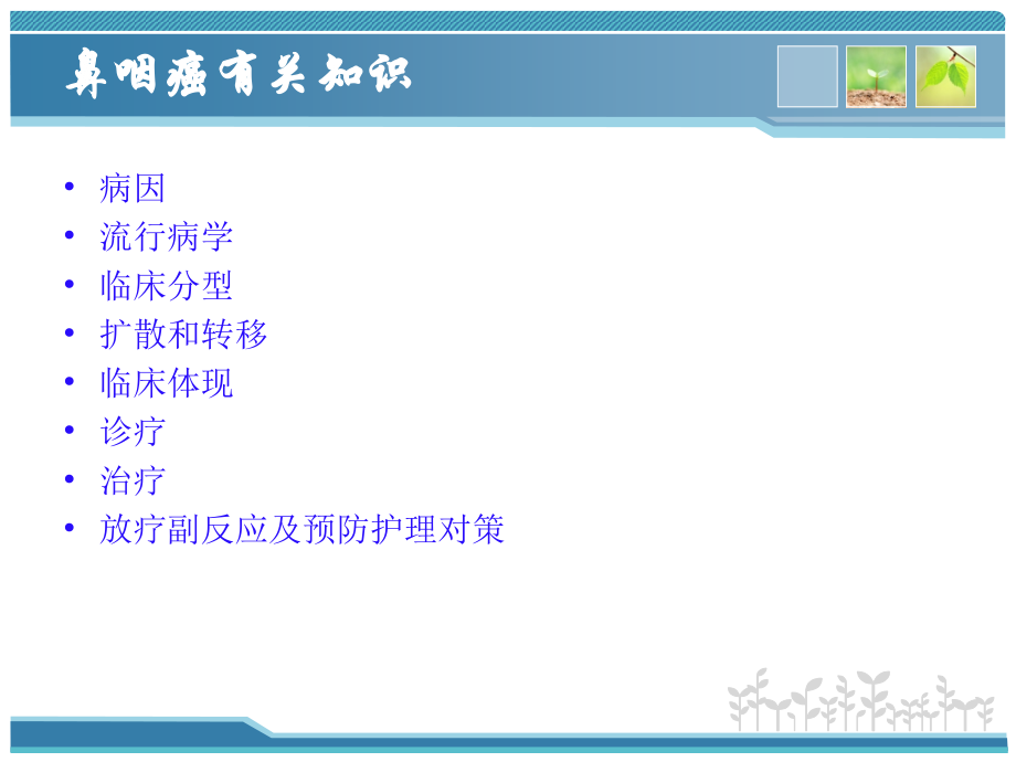 鼻咽癌专题知识讲座.ppt_第2页