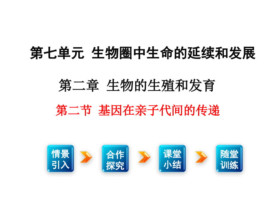 人教八年级生物下册课件第七单元第二章第二节基因在亲子代间的传递（共21张PPT）.ppt_第1页