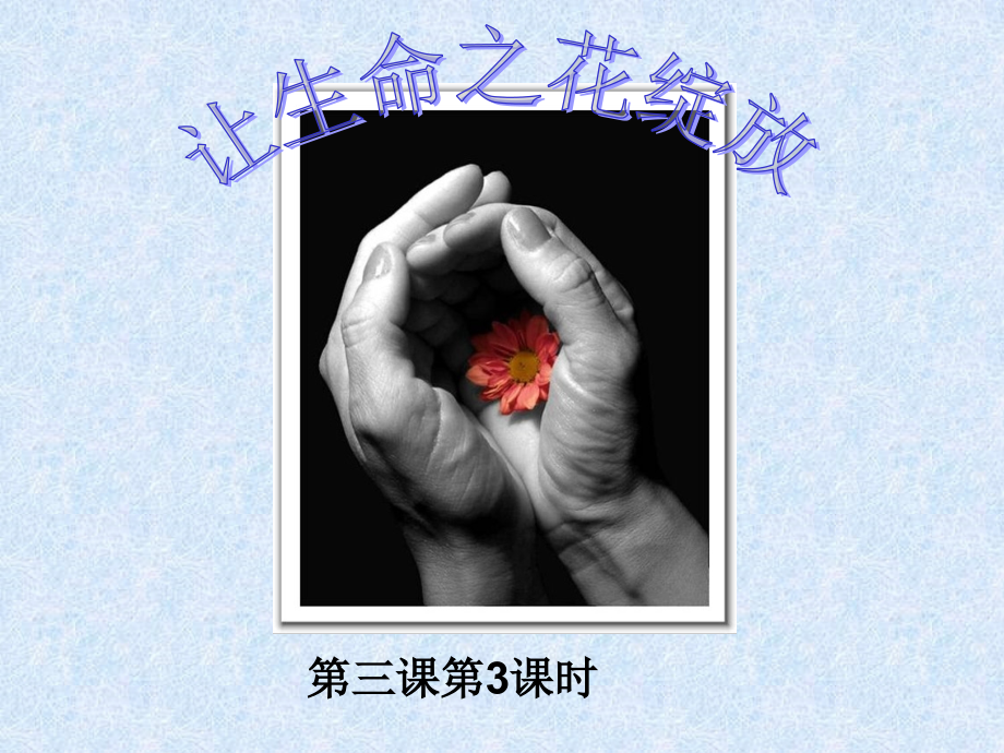 让生命之花绽放.pptx_第1页