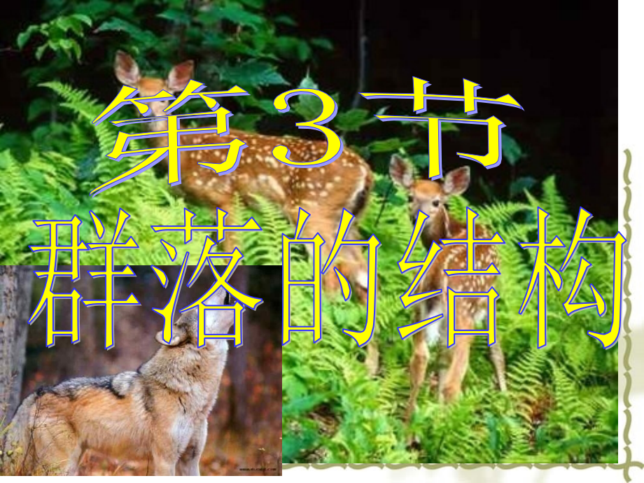 高二生物必修群落的结构.pptx_第1页