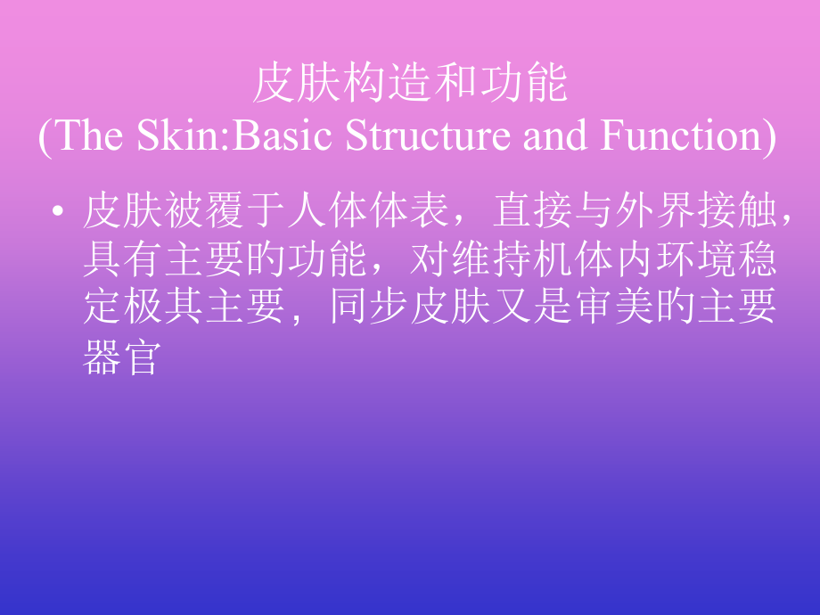 皮肤结构和功能专业知识专家讲座.ppt_第2页