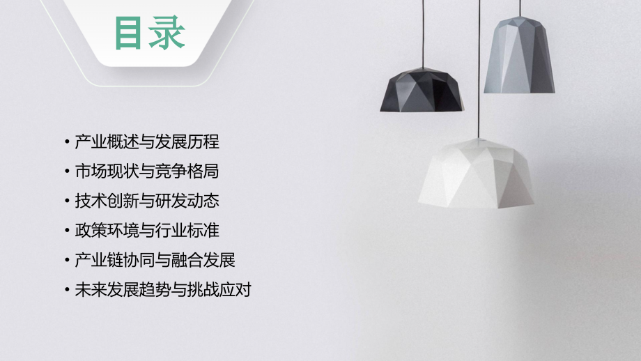 枸杞产业发展形势分析报告.pptx_第2页