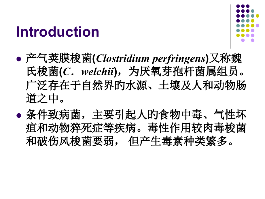 食品卫生微生物学检验产气荚膜梭菌.ppt_第2页