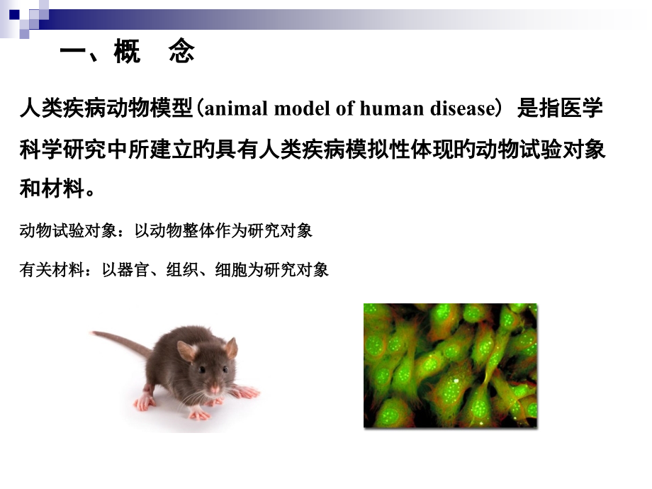 人类疾病动物模型最终版专家讲座.ppt_第2页
