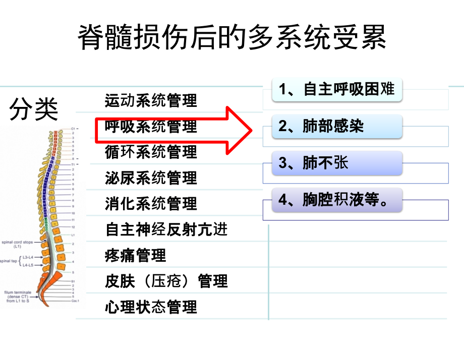 脊髓损伤后呼吸功能障碍.pptx_第2页