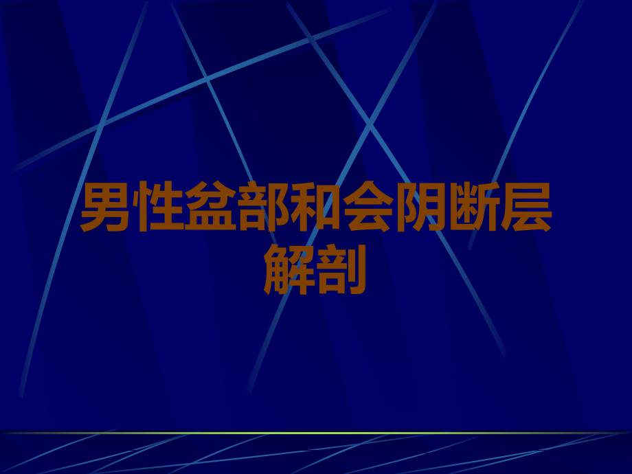 男性盆部和会阴断层解剖.ppt_第1页