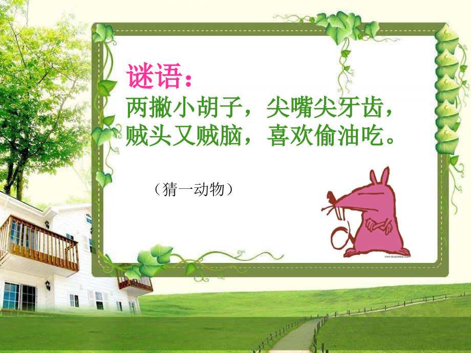 认识鼠标和鼠标的操作(课件).ppt_第1页