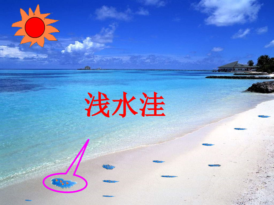 浅水洼里的小鱼课件.ppt_第2页
