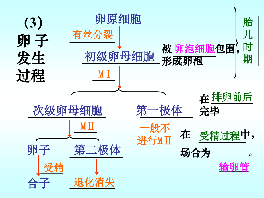 体内受精时专业知识讲座.ppt_第2页