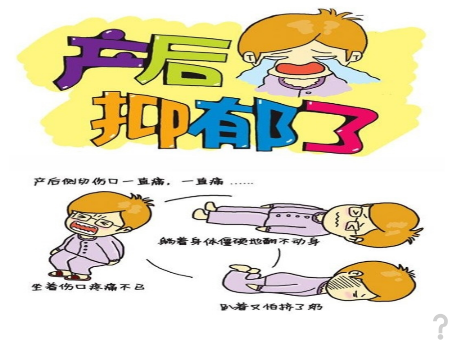 新版产褥期抑郁症.ppt_第2页